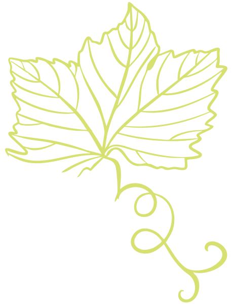 hoja proceso de producción mostea