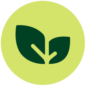 icono mostea vegan