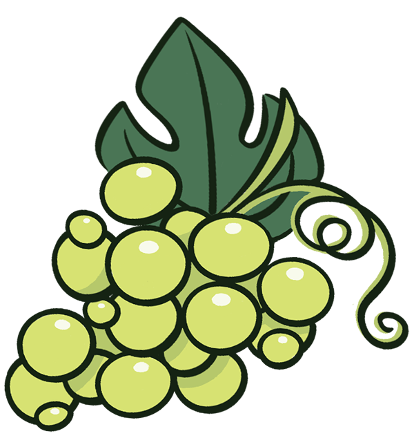 uvas viñedo mostea 2